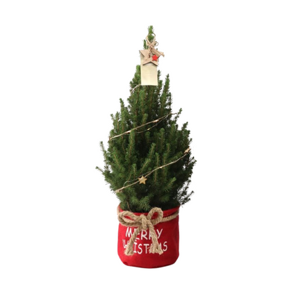 Kleine Kerstboom in Xmas Bag rood - 70 cm - ster piek - inclusief batterijen