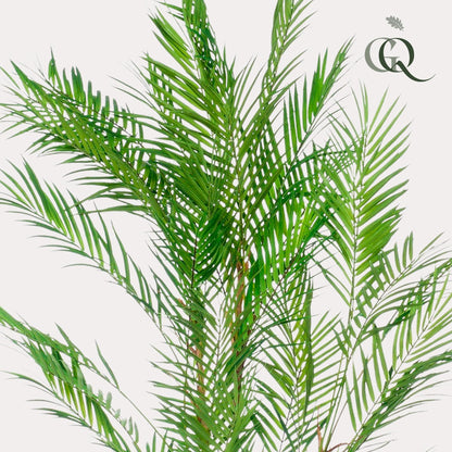 Chamaedorea Elegans - Bergpalm | ↕120 cm - Kunstplant