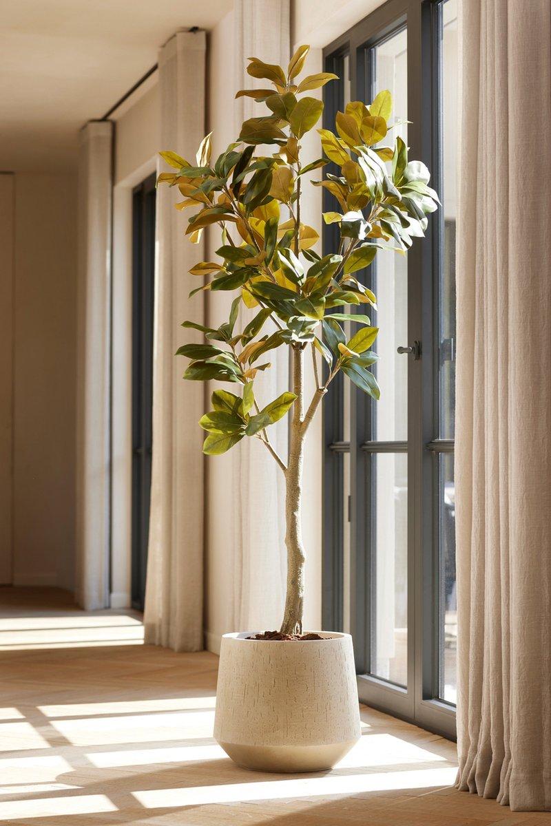 Magnolia Denudata | ↕150 cm - Kunstboom - Kunstplant
