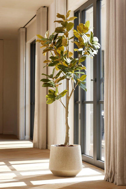 Magnolia Denudata | ↕150 cm - Kunstboom - Kunstplant