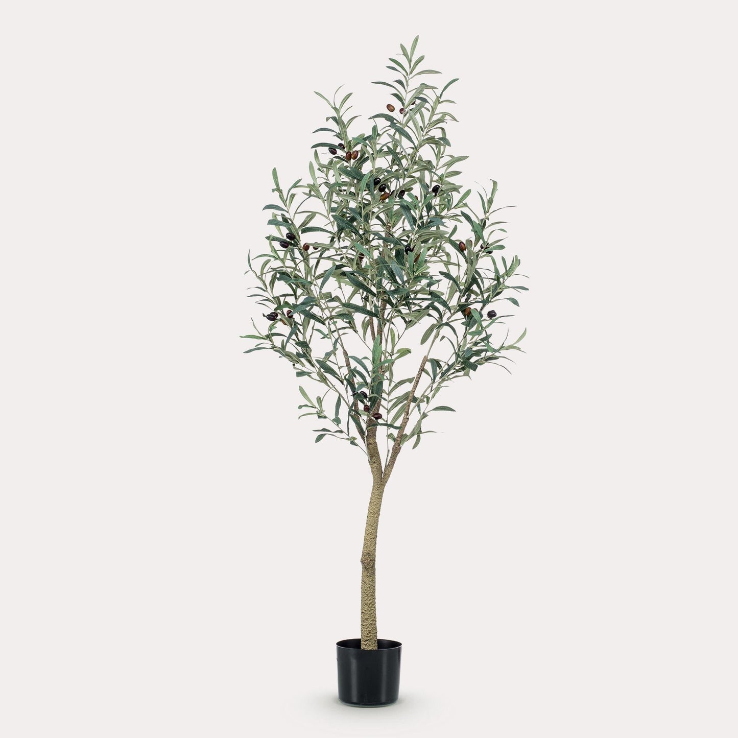 Olea europaea - Olijfboom | ↕140 cm -Kunst Olijfboom