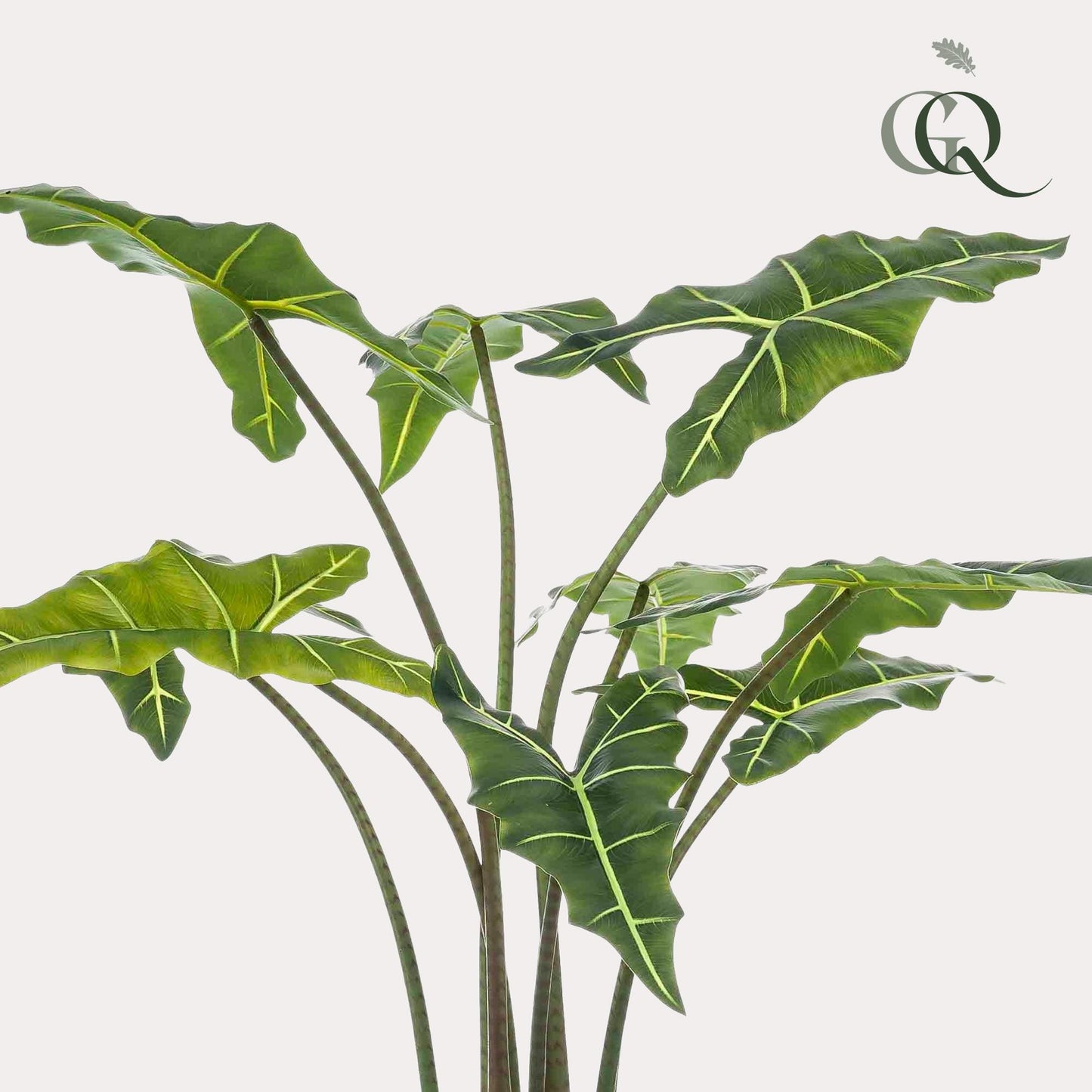 Alocasia Frydek - Olifantsoor | ↕120 cm - Kunstplant