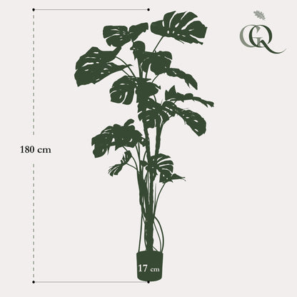 Monstera  - Gatenplant | ↕180cm - kunstplant