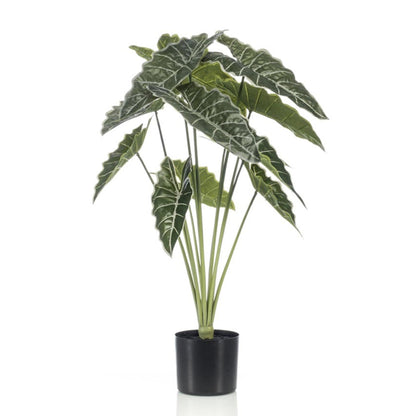 Alocasia | ↕80cm - Kunstplant