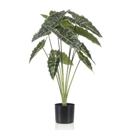 Alocasia | ↕80cm - Kunstplant