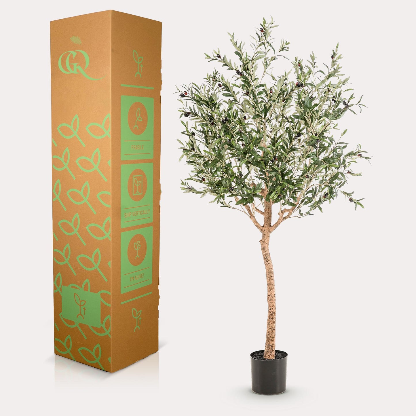 Olea europaea - Olijfboom | ↕180 cm Kunst Olijfboom