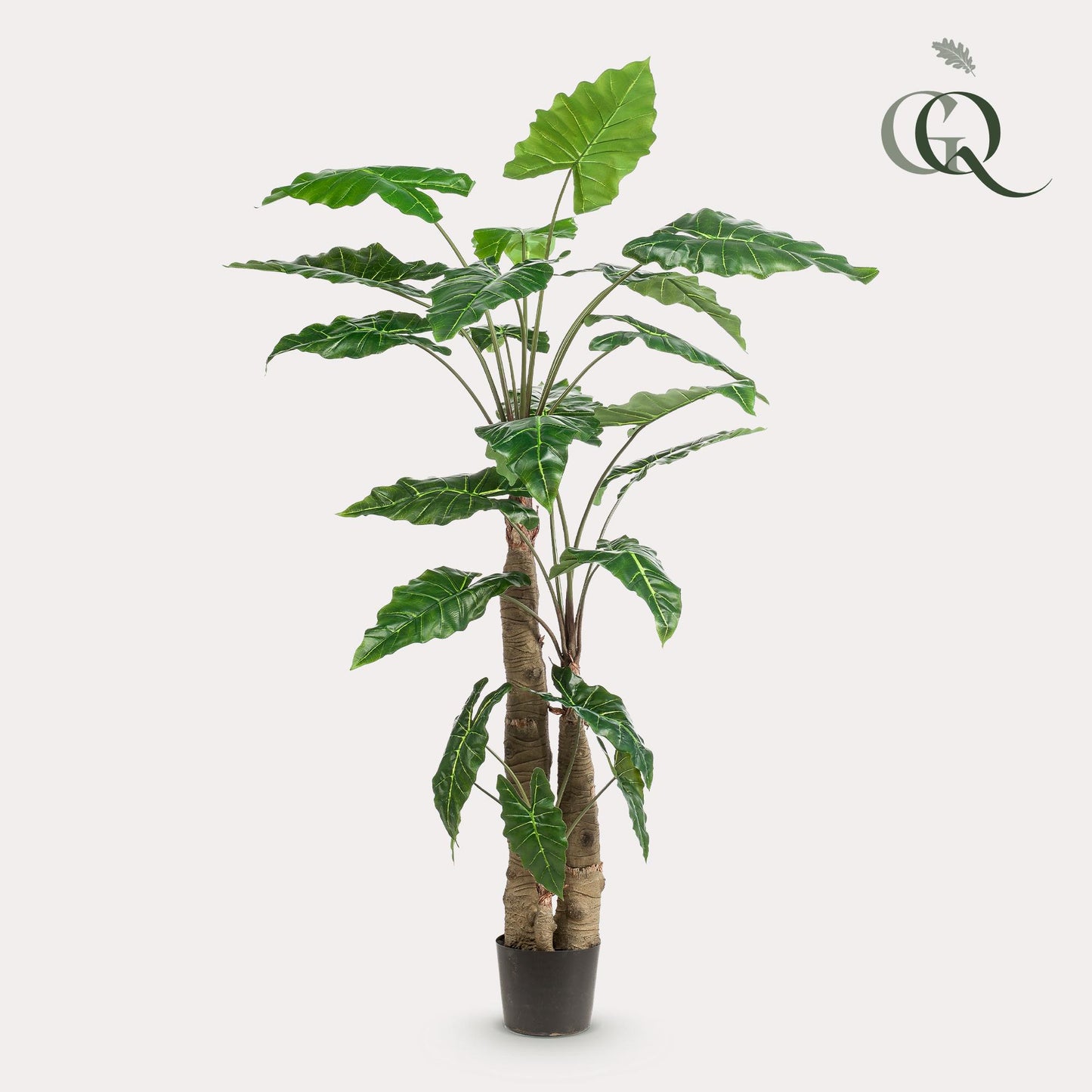 Alocasia - Olifantsoor | ↕180 cm - Kunstplant