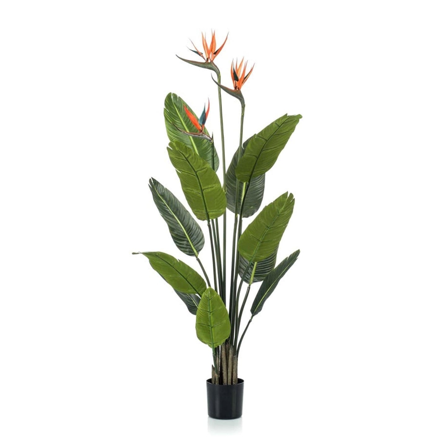 Strelitzia met bloemen | ↕120cm - In zwarte pot - Kunstplant