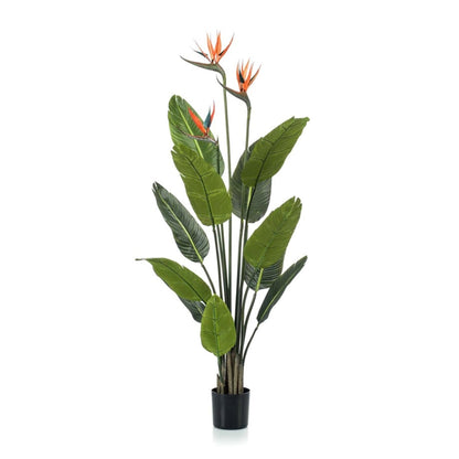Strelitzia met bloemen | ↕120cm - In zwarte pot - Kunstplant