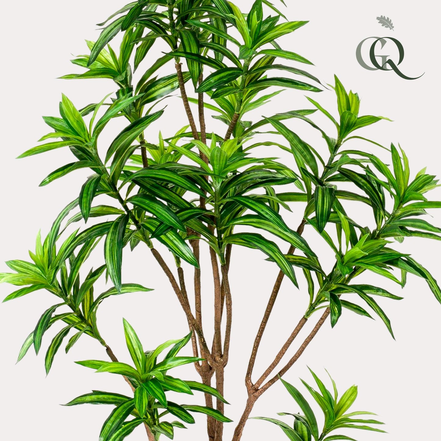 Dracaena - Drakenboom | ↕155 cm - Kunstplant