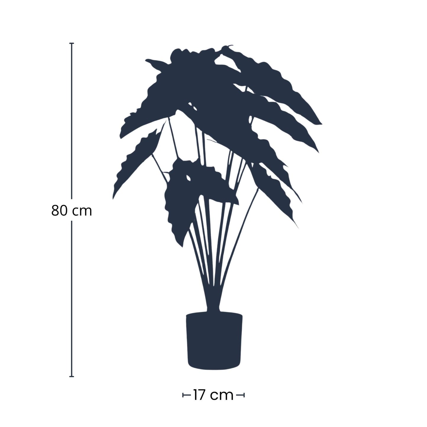 Alocasia | ↕80cm - Kunstplant