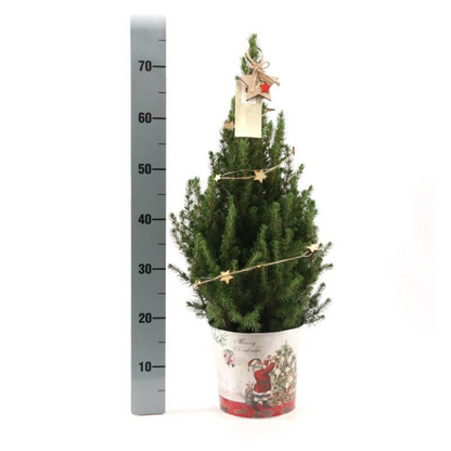 Kleine Kerstboom in Kerstmis sierpot - 70 cm - ster piek - inclusief batterijen