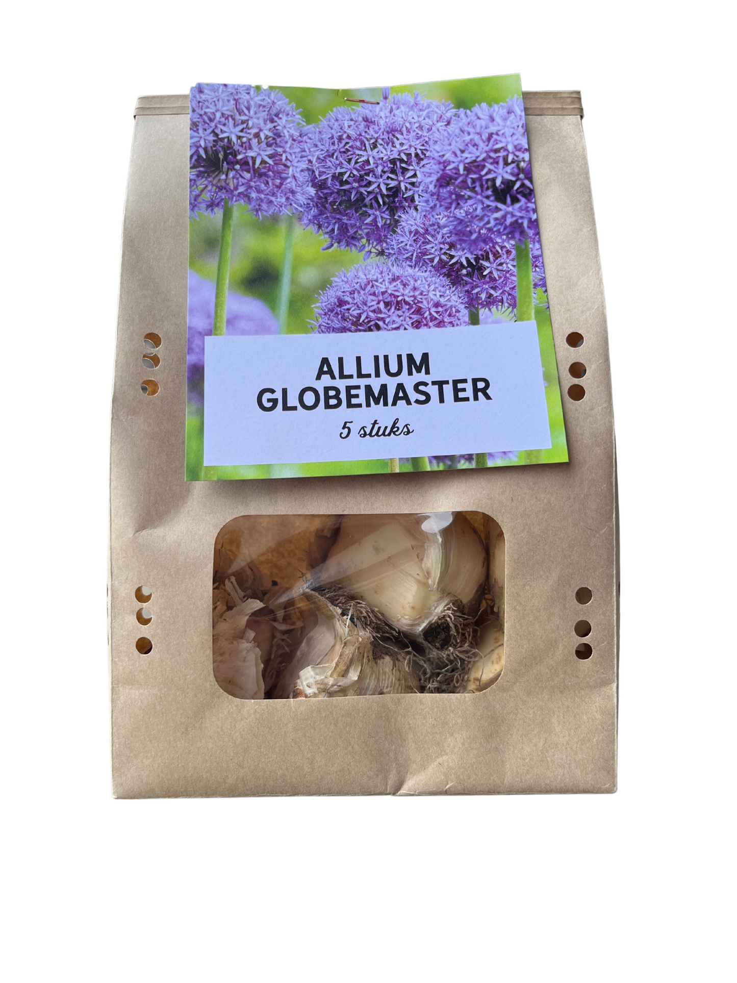 5x Globemaster - Allium bollen