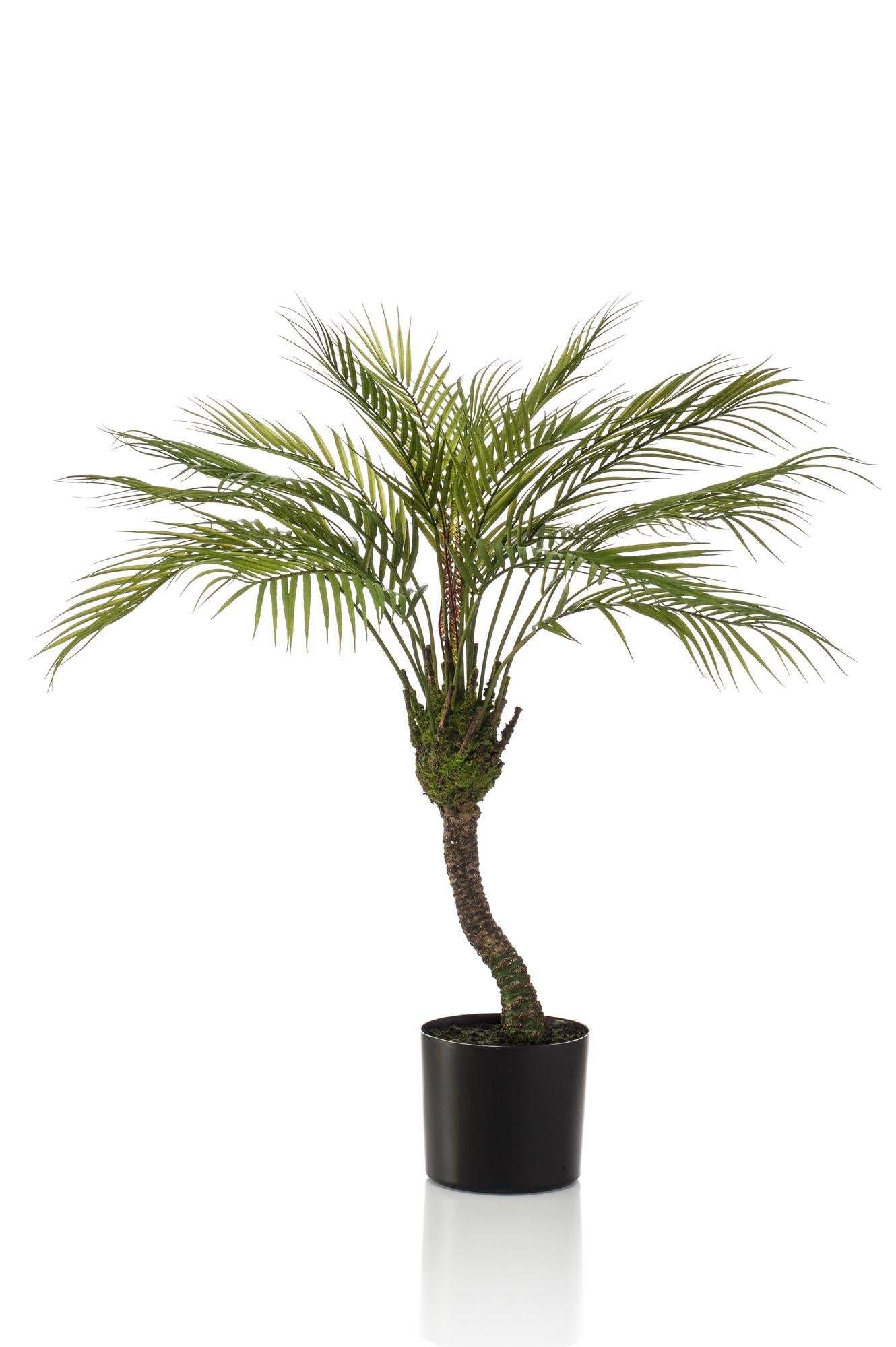 Chamaedorea - Bergpalm | ↕85 cm - Kunstplant