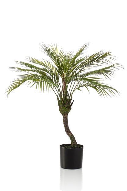 Chamaedorea - Bergpalm | ↕85 cm - Kunstplant
