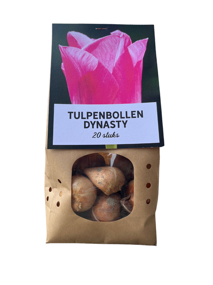 20x Tulpenbollen Dynasty – Roze Tulp