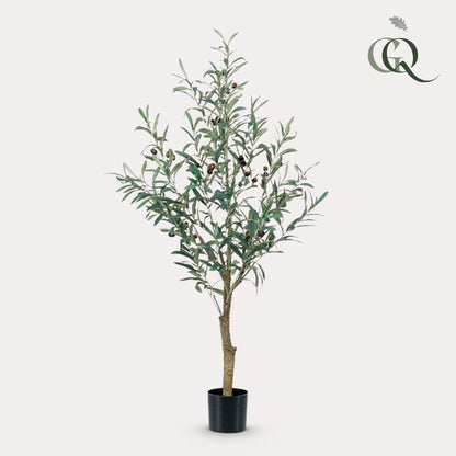 Olea europaea - Olijfboom | ↕115 cm - Kunst Olijfboom