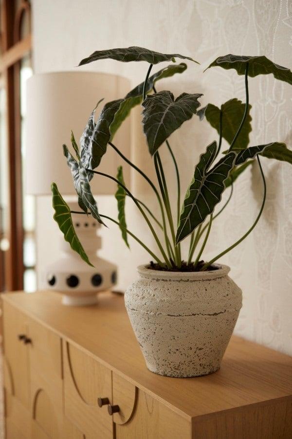 Alocasia | ↕80cm - Kunstplant
