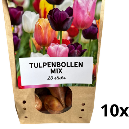 10x zakjes van 20x Tulpenbollen Kleuren Mix - totaal 200 Tulpenbollen