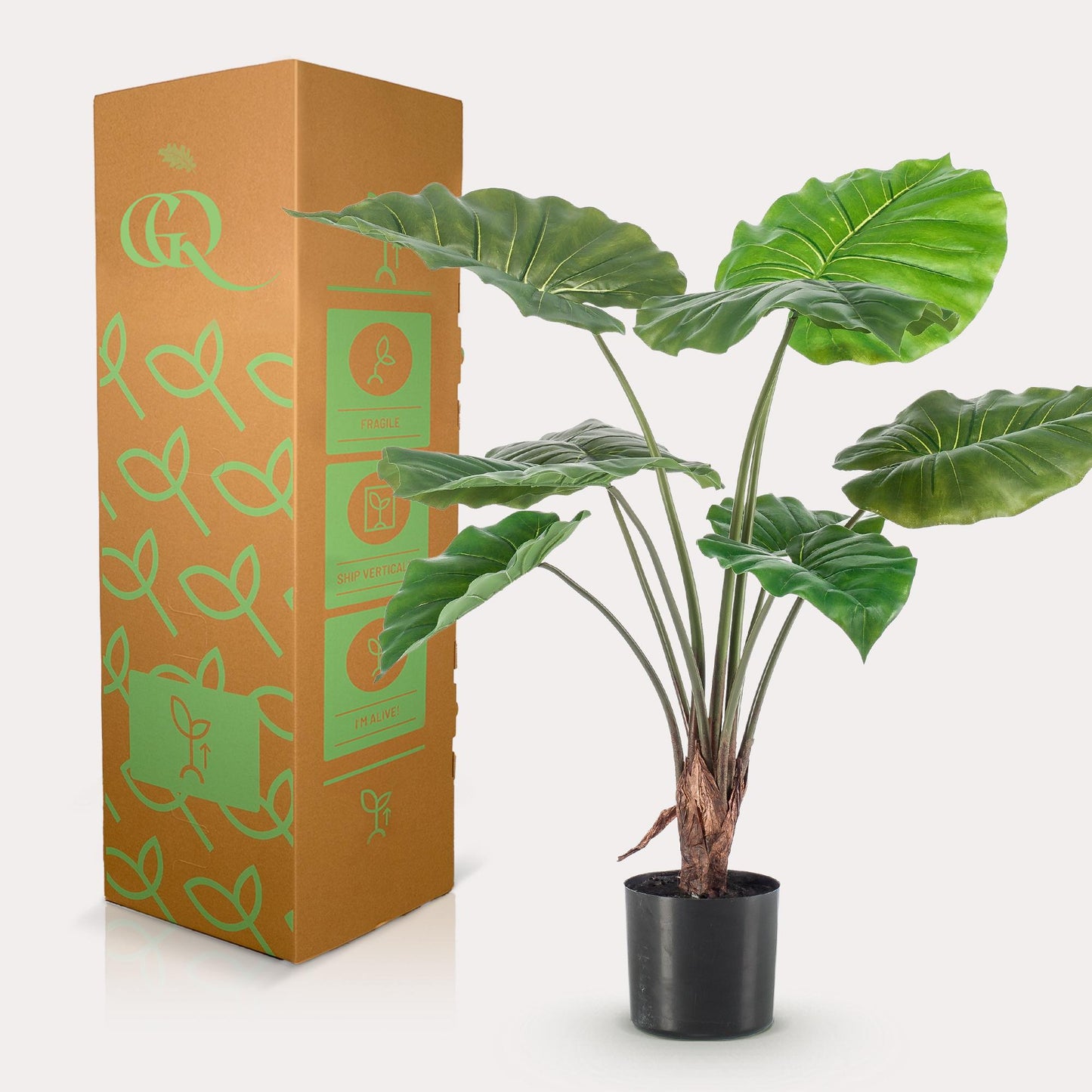 Alocasia - Olifantsoor | ↕70 cm - Kunstplant