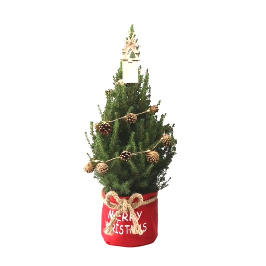 Kleine Kerstboom in Xmas Bag rood - 70 cm - kerstboom piek - inclusief batterijen