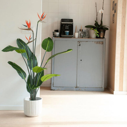 Strelitzia met bloemen | ↕120cm - In zwarte pot - Kunstplant