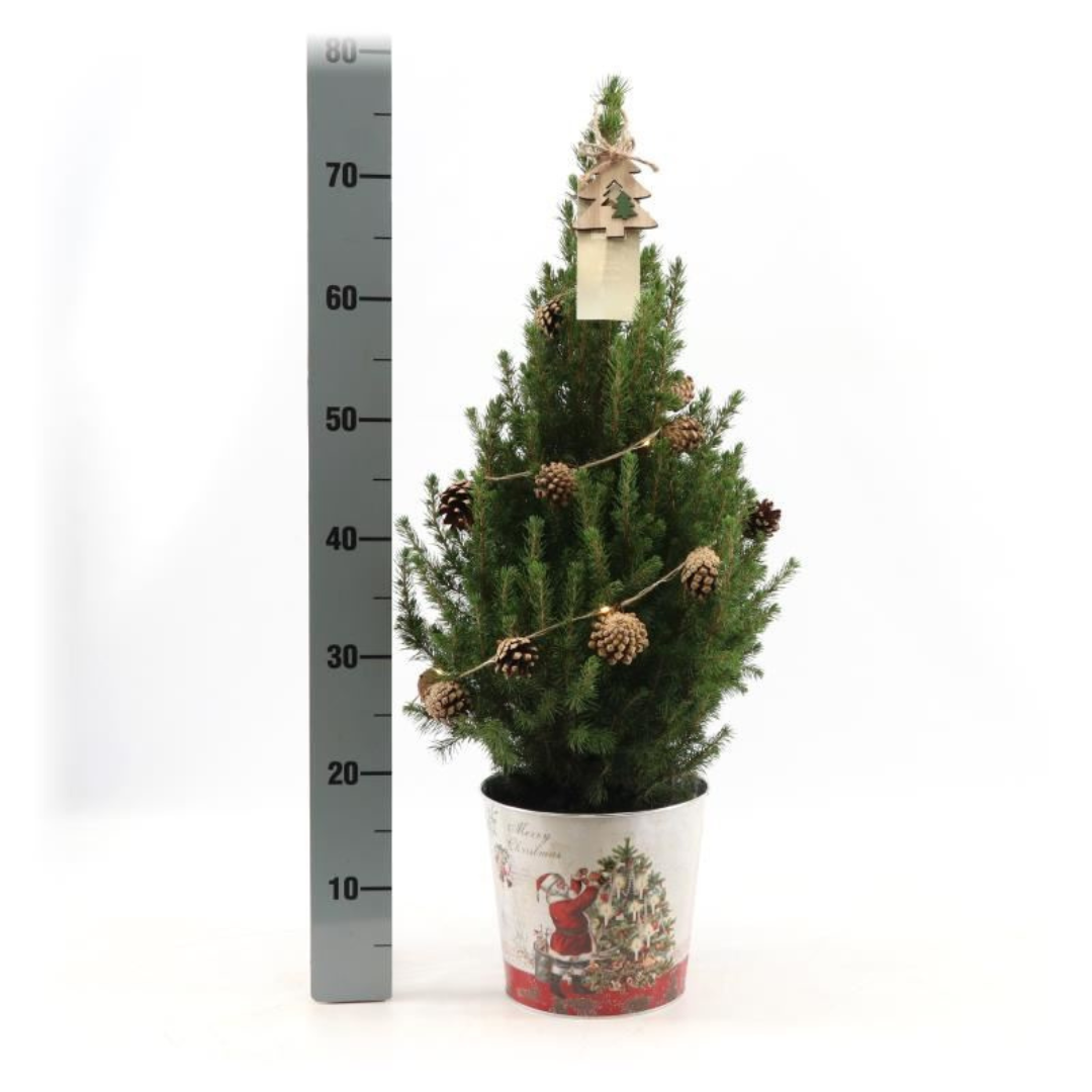 Kleine Kerstboom in Kerstmis sierpot - 70 cm - kerstboom piek - inclusief batterijen