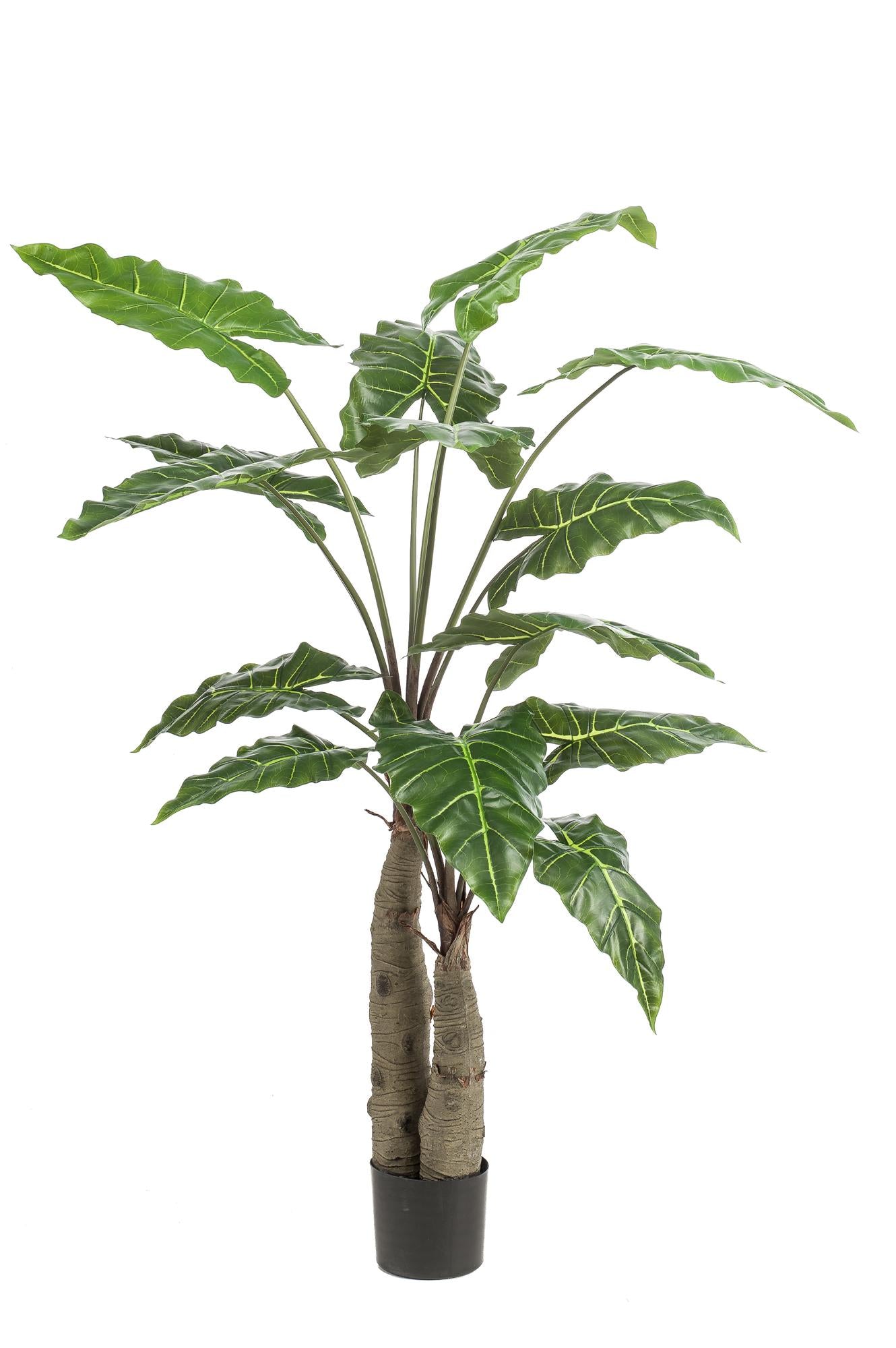 Alocasia - Olifantsoor | ↕150 cm - Kunstplant