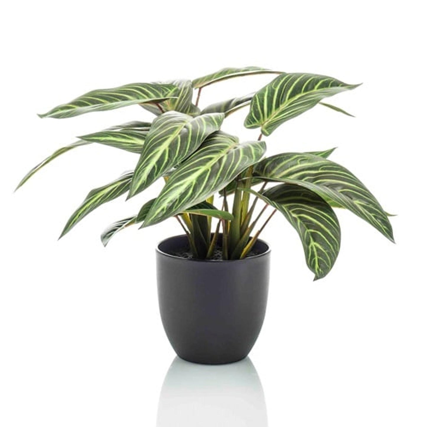 Calathea Zebrina in zwarte pot | ↕42 cm - Kunstplant