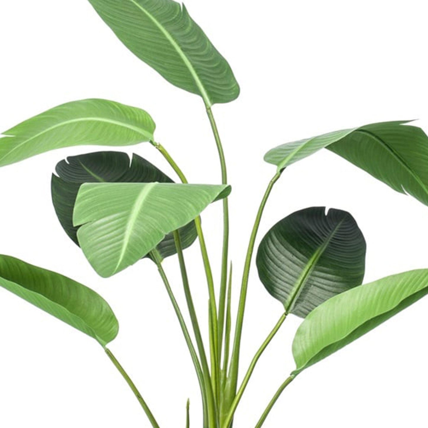 Strelitzia | ↕120cm - In zwarte pot - Kunstplant