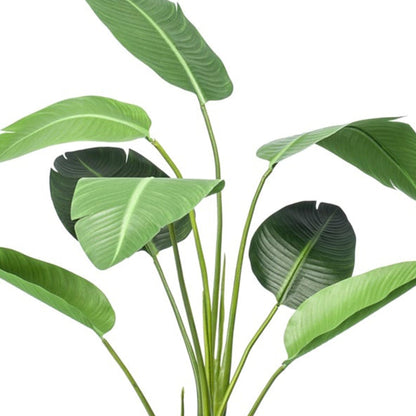 Strelitzia | ↕120cm - In zwarte pot - Kunstplant