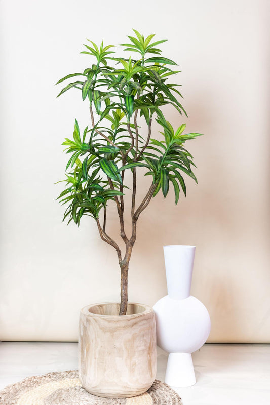 Dracaena - Drakenboom | ↕155 cm - Kunstplant