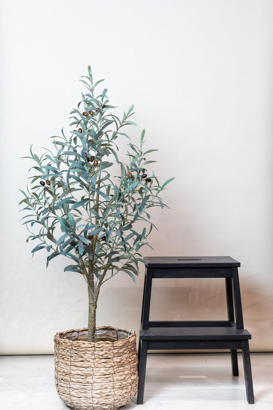 Olea europaea - Olijfboom | ↕115 cm - Kunst Olijfboom