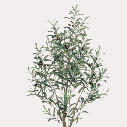 Olea europaea - Olijfboom | ↕140 cm -Kunst Olijfboom
