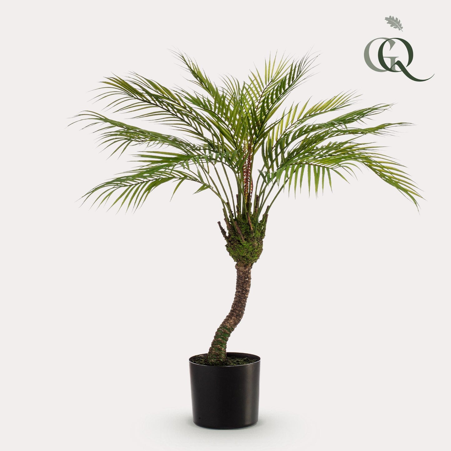 Chamaedorea - Bergpalm | ↕85 cm - Kunstplant
